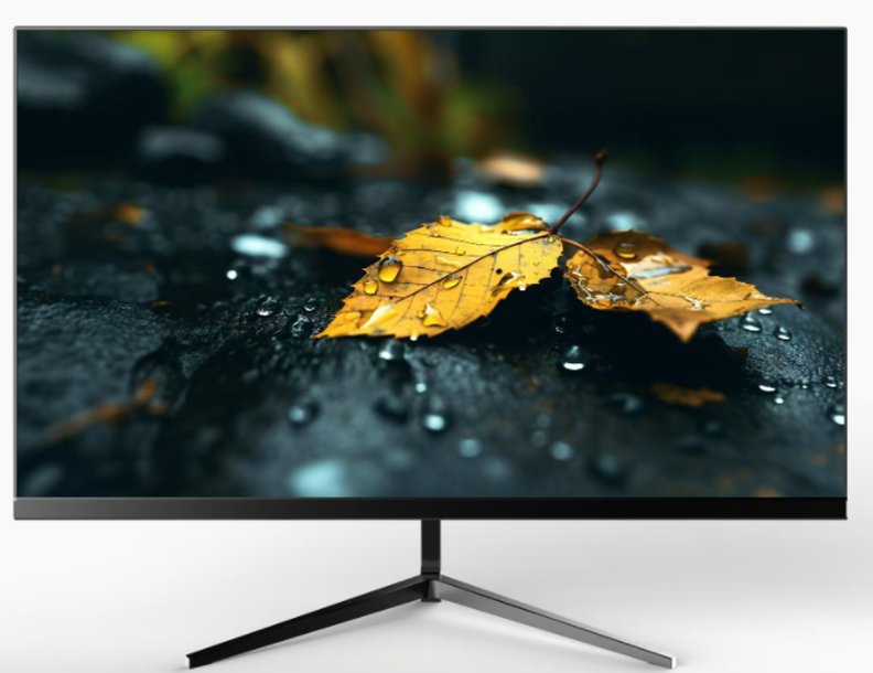 Monitor M2381
